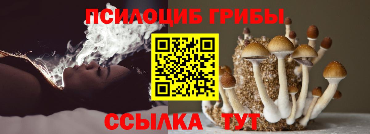 Галлюциногенные грибы прущие грибы Россошь