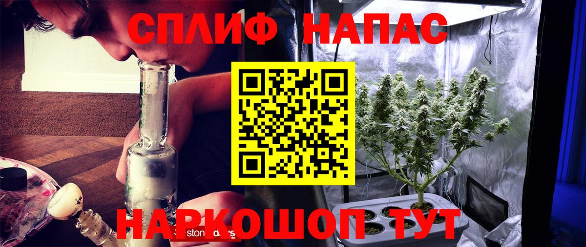 Бошки марихуана сатива  Вход с VPN  Россошь  Каннабис THC 21%  Бошки Шишки SATIVA & INDICA 